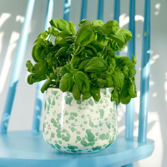 Indoor Planter Pistachio