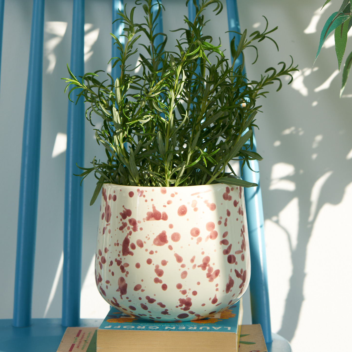 Indoor Planter Cranberry