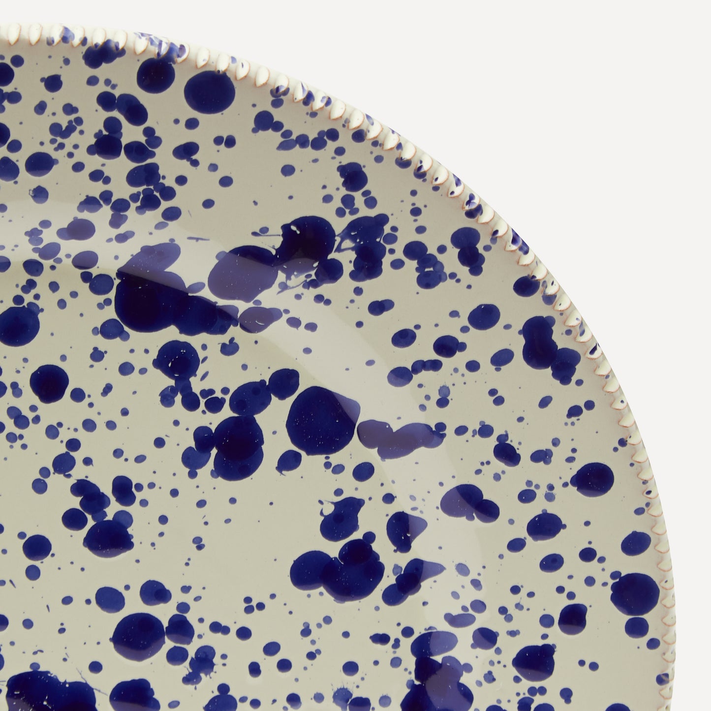 Dinner Plate Blueberry