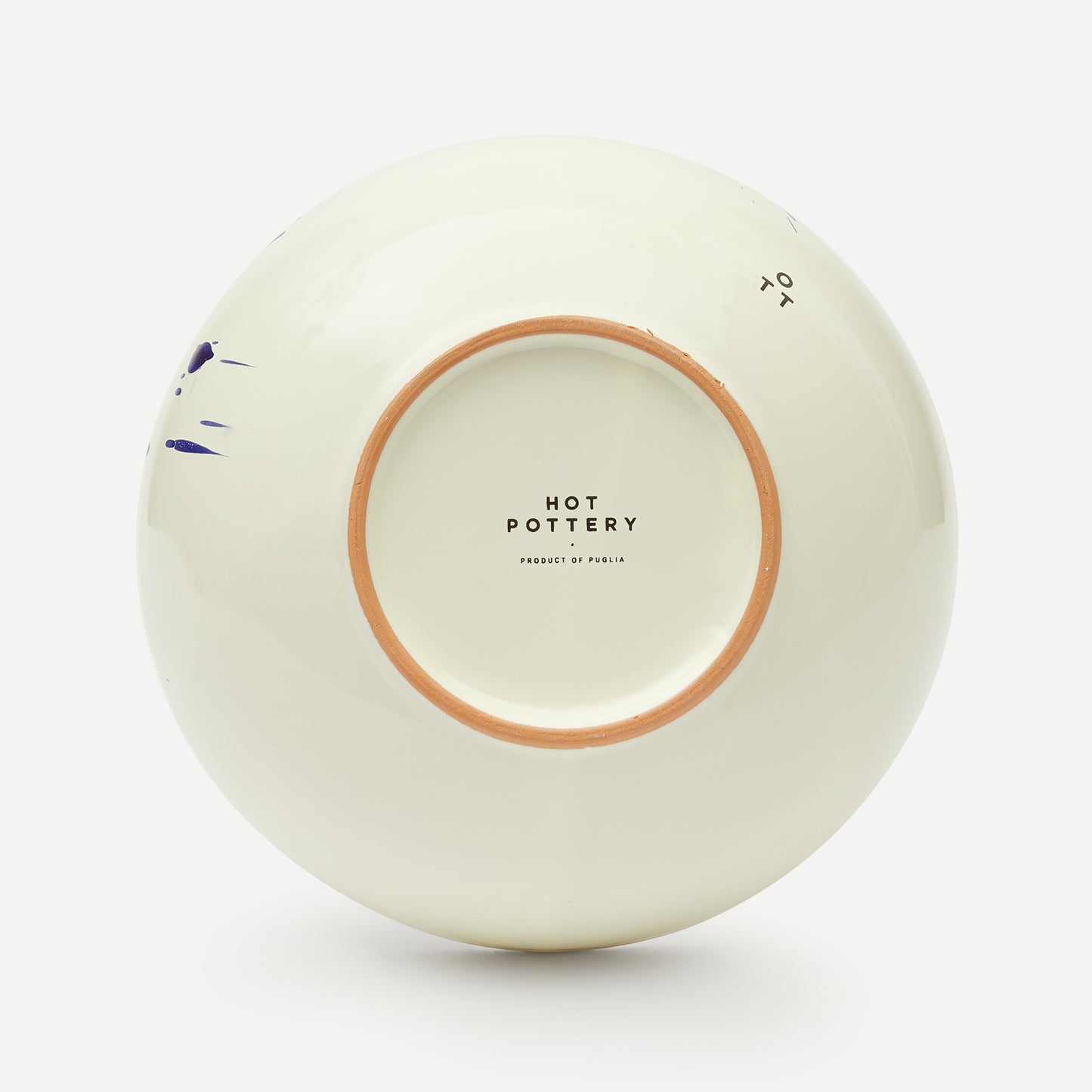 Blueberry Signature Set