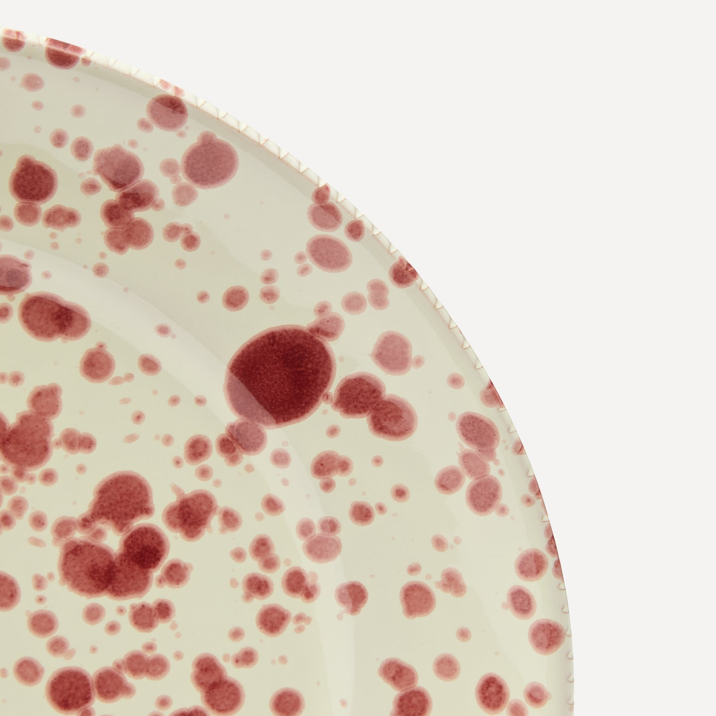 Dinner Plate Cranberry