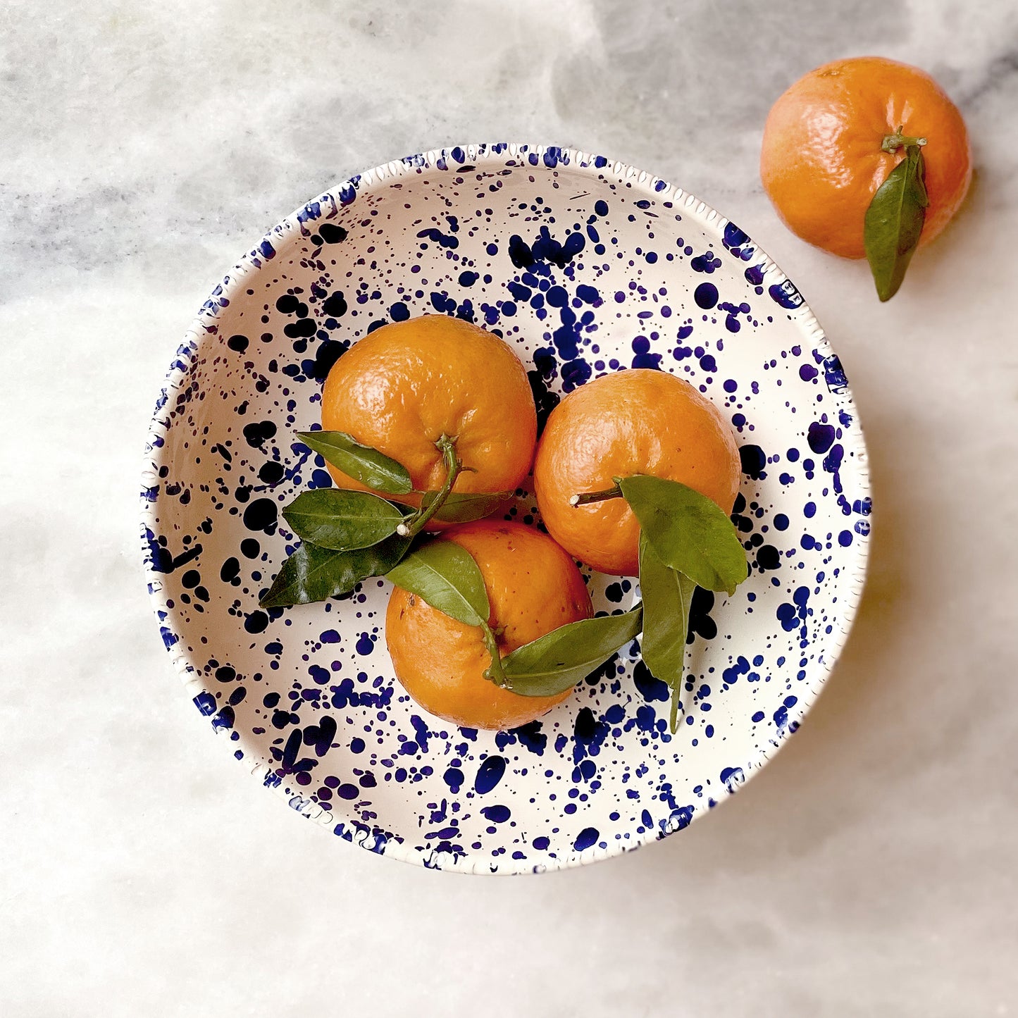 Pasta Bowl Blueberry