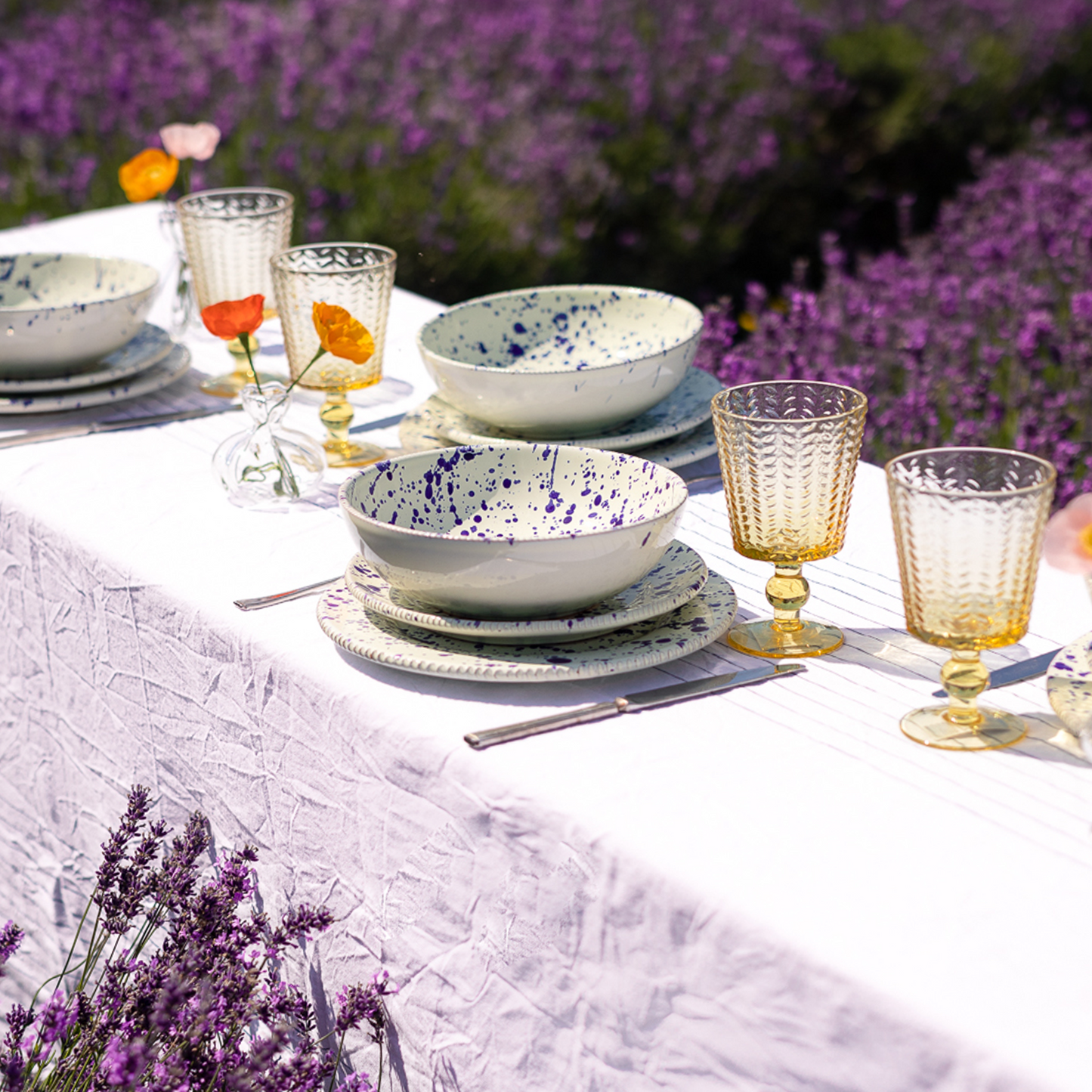 Blueberry Signature Set