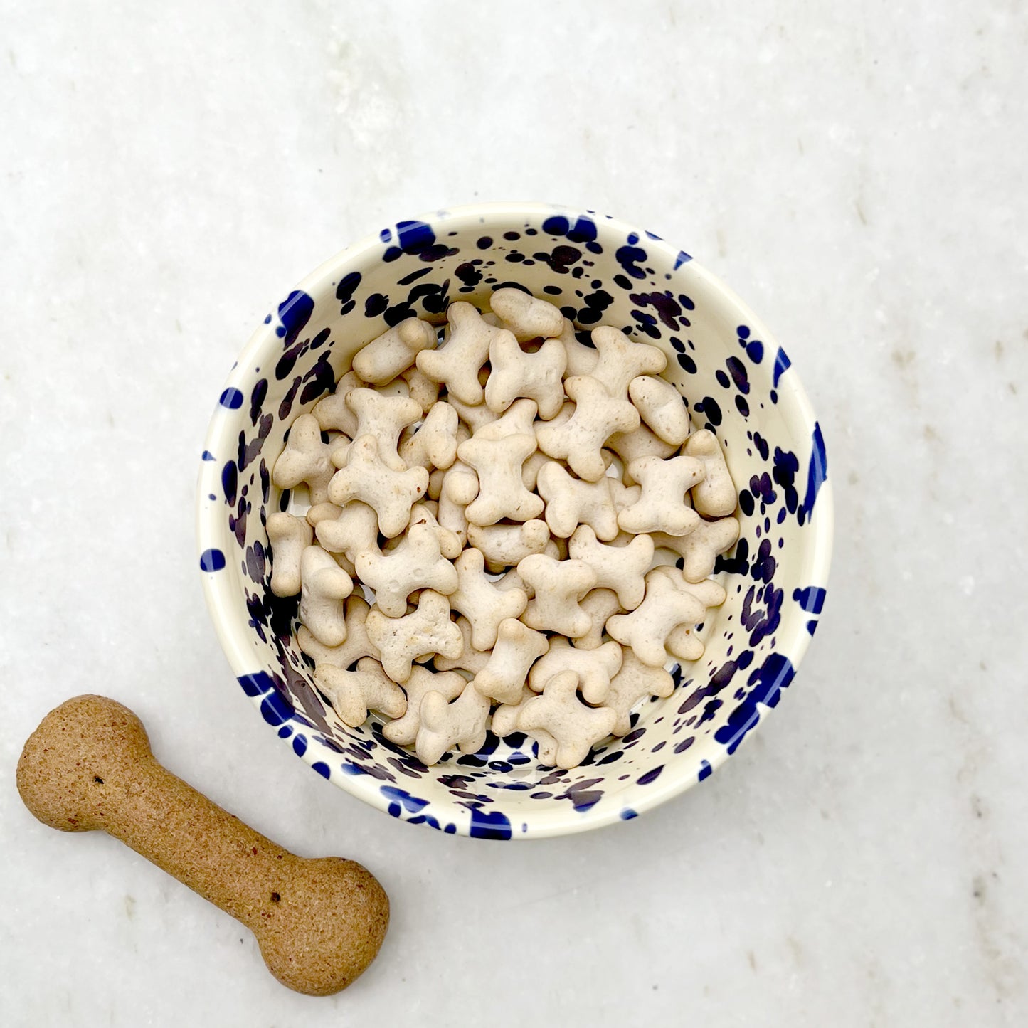 Pet Bowl Blueberry